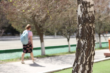 couple walking in the park