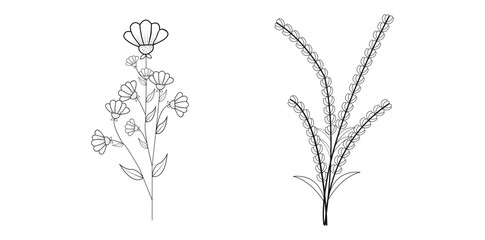 Black silhouettes of flowers, grass and herbs, pro vector
