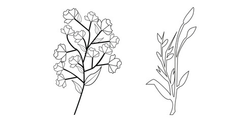 Black silhouettes of flowers, grass and herbs, pro vector