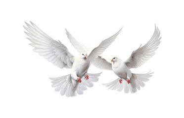 Obraz premium Two white doves are flying. Generative AI