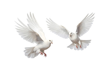 Two white doves are flying. Generative AI