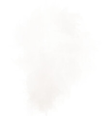 Fototapeta na wymiar Rising white smoke on transparent background. PDF file for digital art and work.