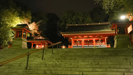 Night view of illuminated shrine