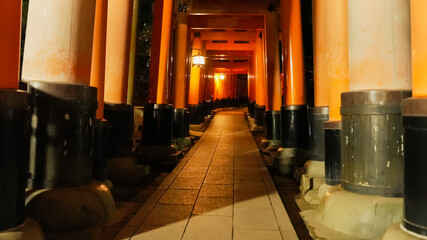 Torii of Inari Shrine