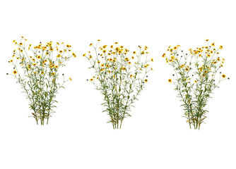 Variety of trees and flowers on transparent background