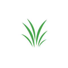 green grass vector stock isolated on white background