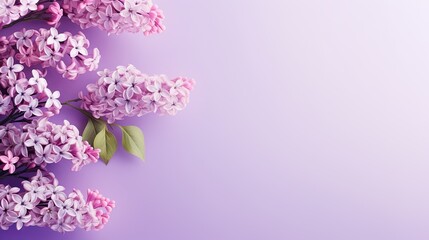  a bunch of lila flowers on a purple background with space for text.  generative ai