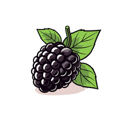 Blackberry flat illustration