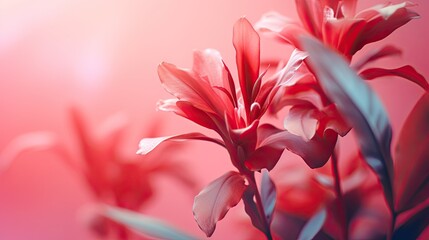  a close up of a red flower on a pink background.  generative ai