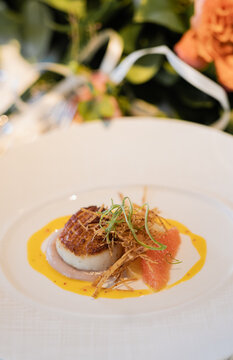 beautifully seared large scallop with grapefruit herbs and garnish on large white ceramic plate being served at upscale restaurant