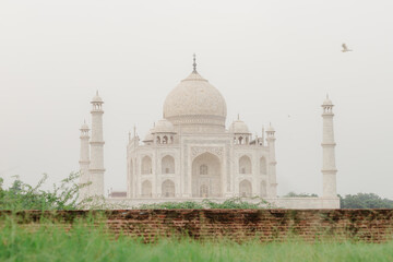 Fototapeta na wymiar couple with the view of Taj Mahal in Agra, India