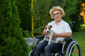 Elderly caucasian woman hugging a jack russell terrier dog while sitting in a wheelchair on a walk outdoors. 
