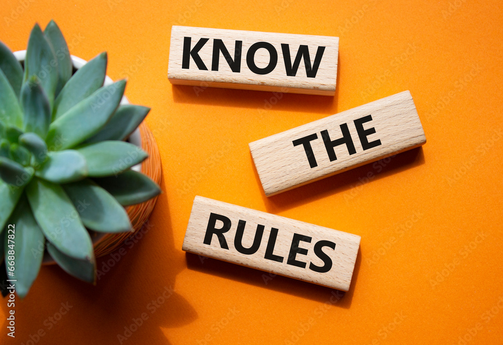 Poster Know the rules symbol. Wooden blocks with words Know the rules. Beautiful orange background with succulent plant. Business and Know the rules concept. Copy space.