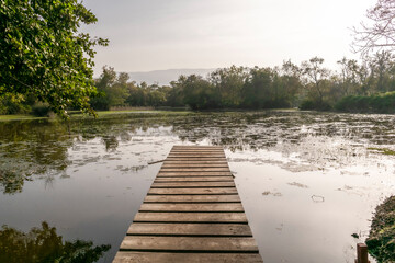 Obraz premium Autumn in the Karacabey floodplain forest