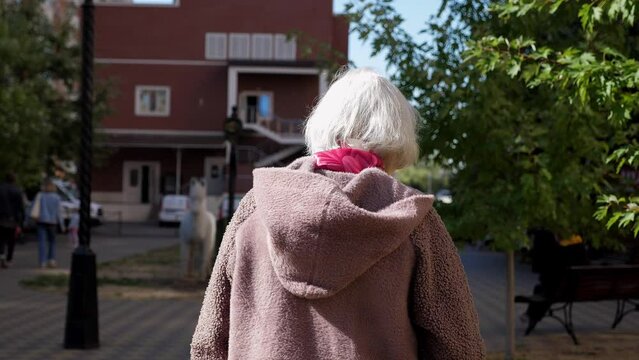 A view from the back of an old grandmother with gray hair who walks with a cane along an alley in the park. Slow movement. An old grandmother walks slowly and limps in the city.