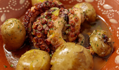Squid with Potatoes
