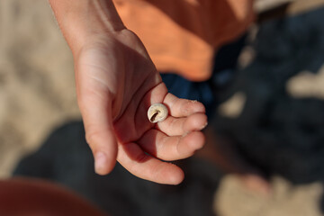 Fototapeta premium Child Holding a Snail Shell