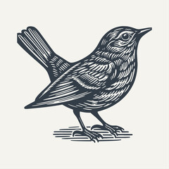 Small bird. Vintage woodcut engraving style hand drawn vector illustration on dark background.