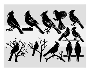 Cardinal Svg, Cardinal Silhouette, Bird Svg, Red Cardinal, Cardinal Png, Red Birds Meaning, Red Bird, Vector, Cricut, Cut Files,