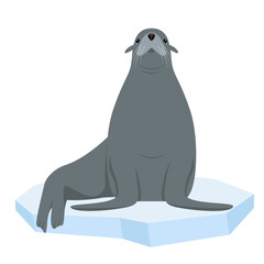 Sea lion or Fur seal animal sitting on ice floe. Northern Sea or ocean water mammal animal. Gray Arctic Sealion or rur seal icon. Vector flat or cartoon illustration isolated on white background.