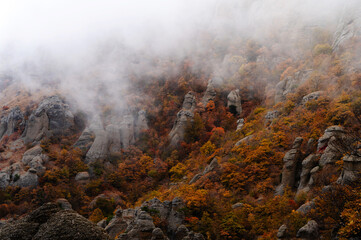Beautiful autumn landscape of rocks in the fog
