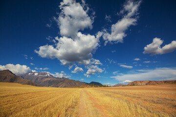Fototapeta premium Fields in Peru
