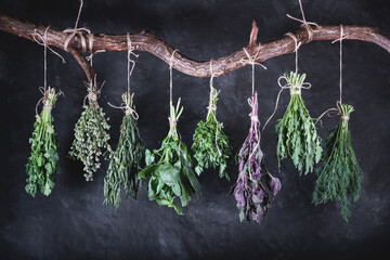 Hanging bunches of variety edible fresh herbs on a curved wooden crossbar, closeup on black...