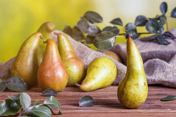 Rural still life - view of a Conference pear after harvest on a wooden table, group of pears closeup with selective focus