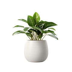 Indoor Greenery at Its Best: 3D-Rendered Plant in a White Pot - transparent background