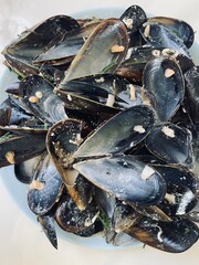 Closeup on empty Mussles Shells, abstract food background, eaten mussles