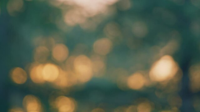 Defocused Scene. Natural Blurred Background. Sun Light Shine Through Green Tree In Morning Day. Blur.