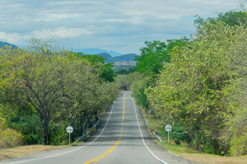 Fototapeta na wymiar Road in a tropical landscape 