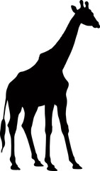 Giraffe isolated on white background, silhouette, vector illustration