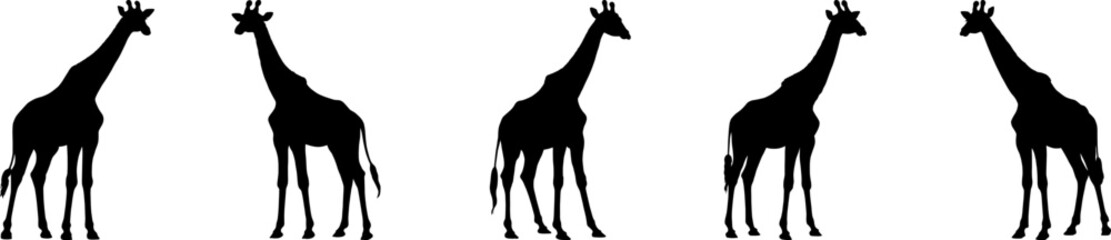Set of vector silhouettes of giraffes