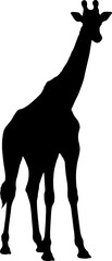 Giraffe isolated on white background, silhouette, vector illustration