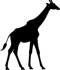Giraffe isolated on white background, silhouette, vector illustration