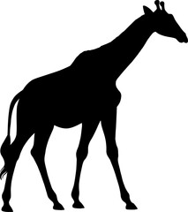 Giraffe isolated on white background, silhouette, vector illustration