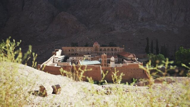 Focus change from bushes in the foreground to the Saint Catherine Monastery. Ancient historical religious place at Mount Sinai. Tourist excursion to the Mountain of Moses