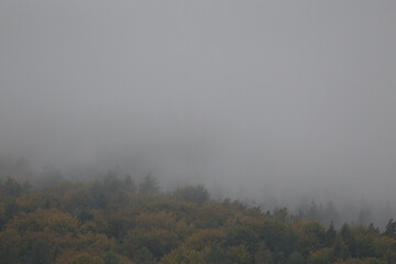 Nebel
