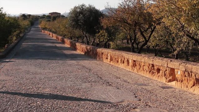 agrigento sicily italy ancient road street by temple of juno concordia pillars with trees beside it with camera movement