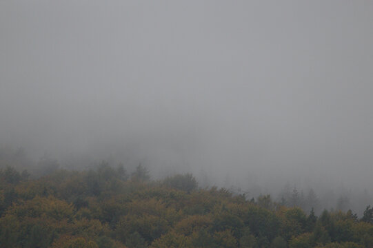 Nebel