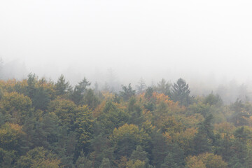 Nebel