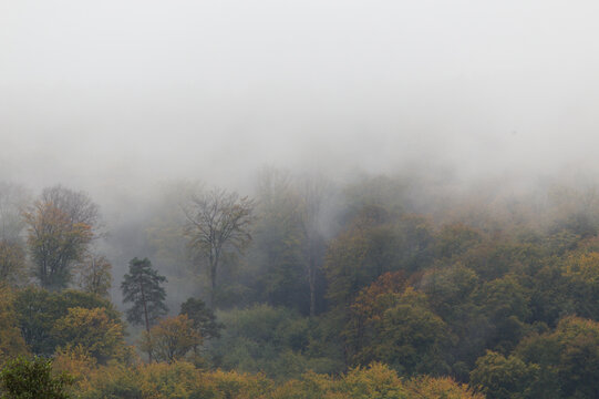 Nebel