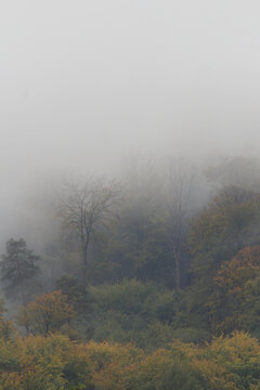 Nebel