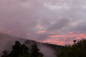 Nebel