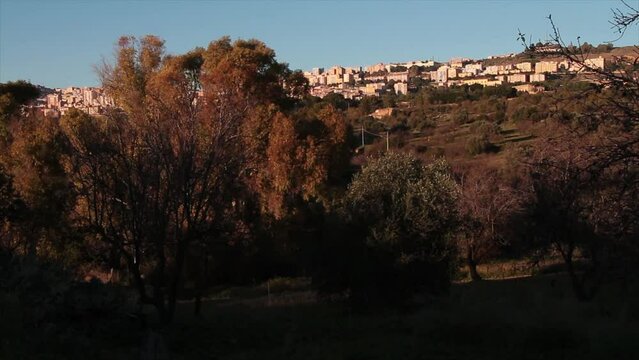 agrigento sicily italy buildings homes houses on hill medium wide shot in top of frame with a lot of trees in foreground