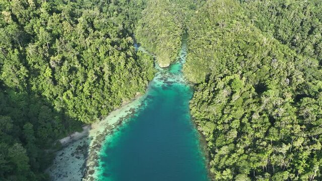 Rainforest covers rugged limestone islands which are fringed by coral reefs in Alyui Bay, Raja Ampat. This remote, tropical region in eastern Indonesia harbors extraordinary marine biodiversity.