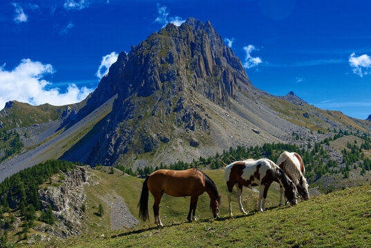 Altopiano Gardetta, Rocca La Meja in the Maira Valley, in Piedmont, near Cuneo
