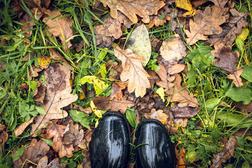 Feet in black rubber boots standing on a grass with fallen leaves. Autumn concept.