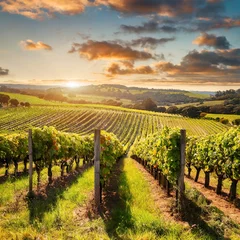 Tuinposter vineyard at sunset © Ryan